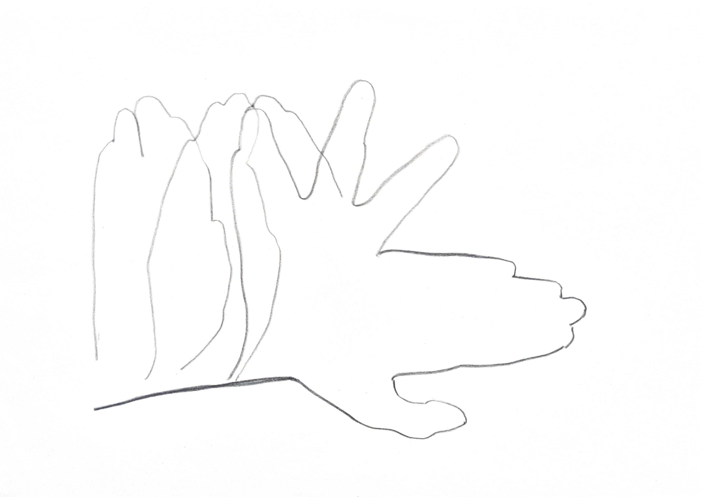 outlined drawing of a hand